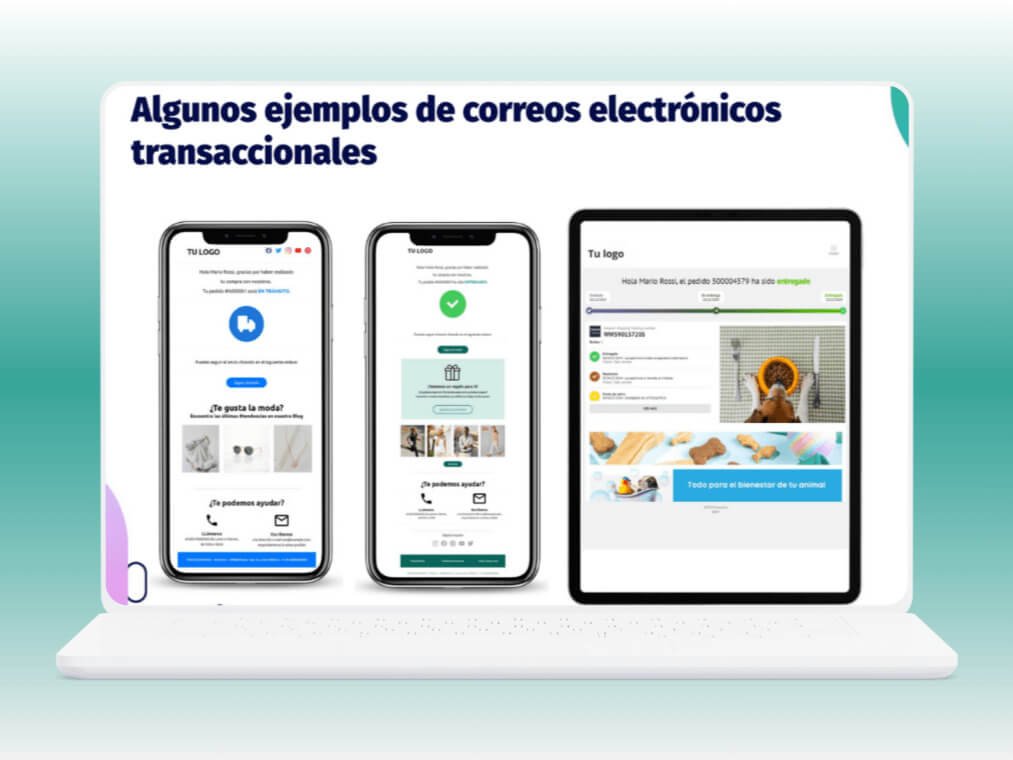 Logistică pentru comerț electronic cu tarife fixe EBEP Express România